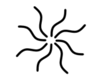 Joe Rollin, Ph.D. – Independent Consulting